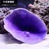 Coral morado en forma de hoja