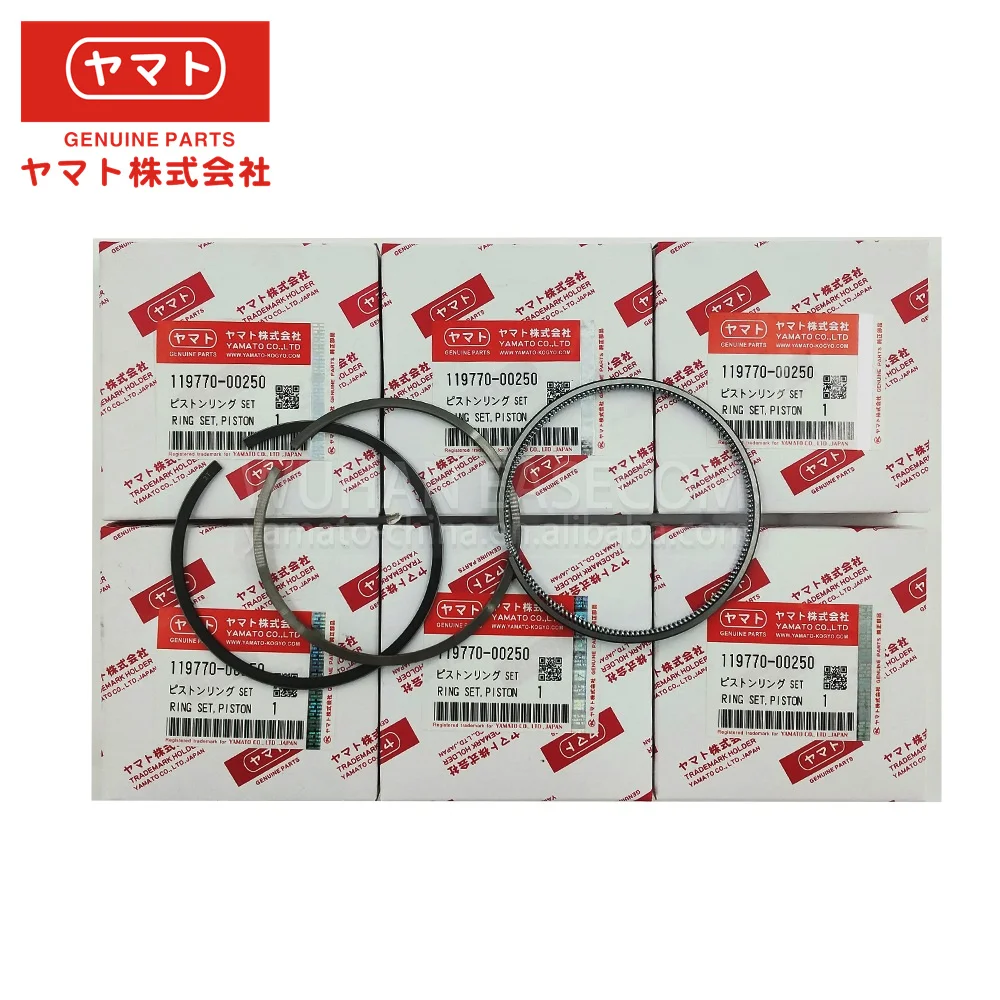 Japan Oem Parts 6lpastp2 Yanmar Piston Ring 11977000250 For Yanmar