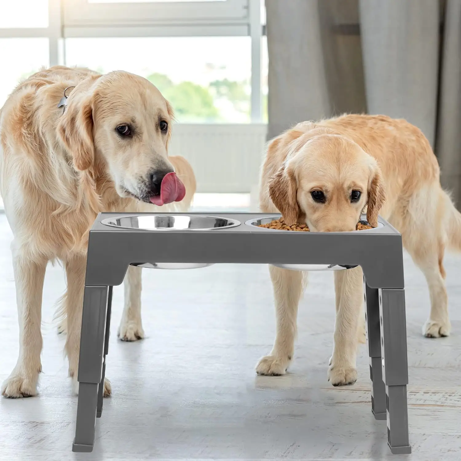 Elevated No Spill 4 Adjustable Heights Raised Dogs Stainless Steel