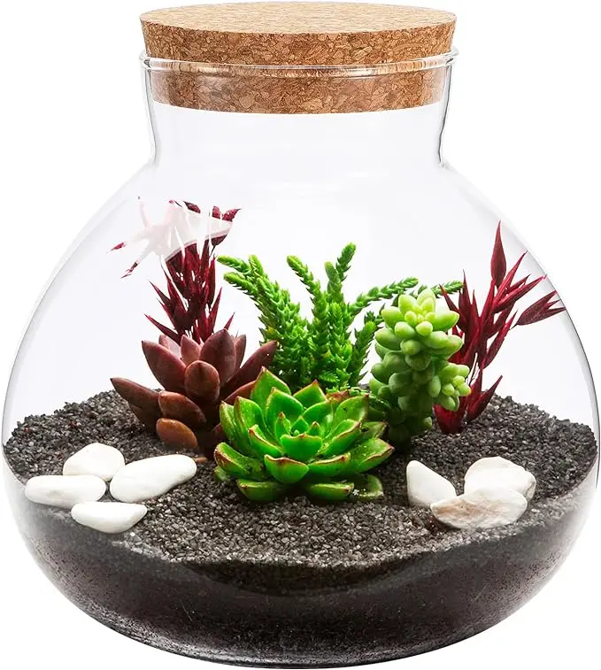 Terrario De Vidrio Para Plantas - Jarrón Para Suculentas O Plantas De Aire, Varios Tamaños