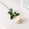 una rama blanca
