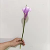 violet clair YL80450-2