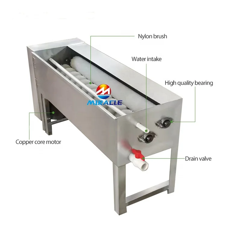 new type brush egg washing machinery