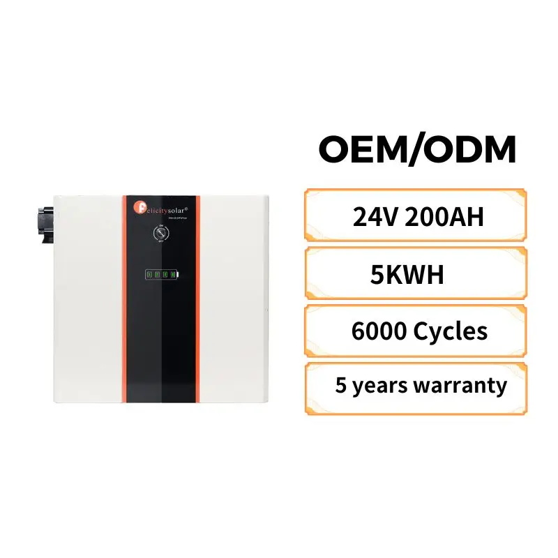 6000  Cycles  Lithium  Battery Pack Lifepo4  24v200Ah for Solar Electric Power System