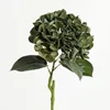 Verde scuro