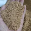 5 jin (2,5 gatos) de cáscara de nuez premium