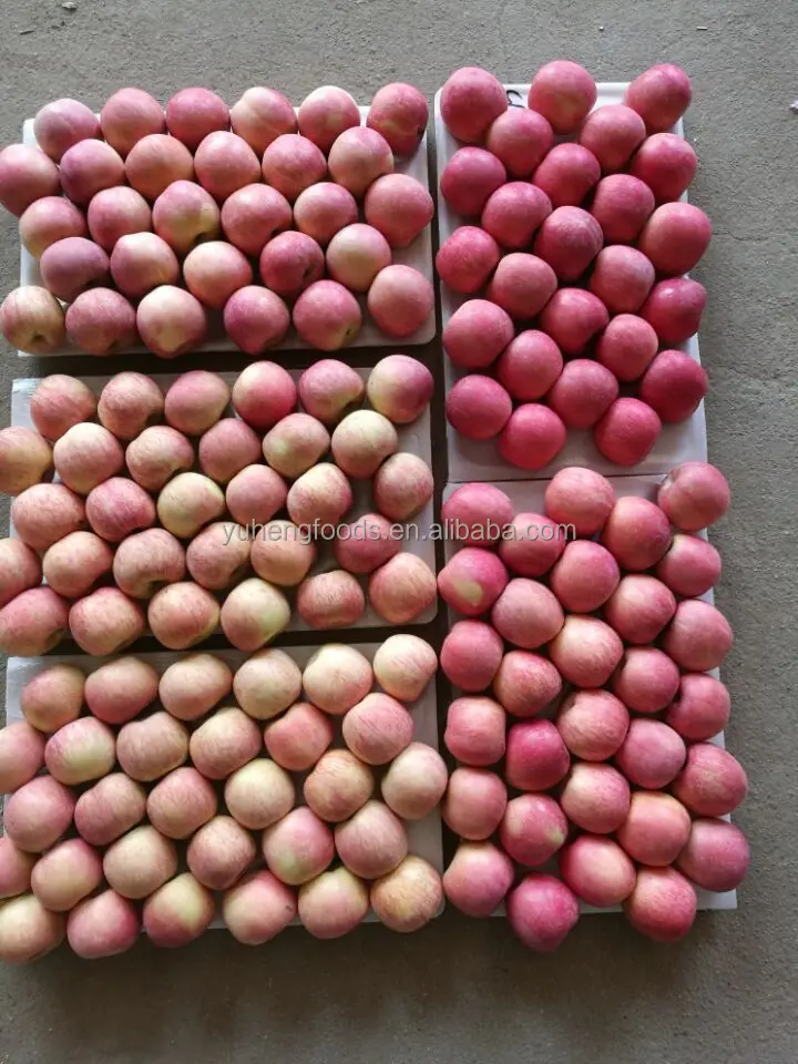 150pcs fuji apples.jpg