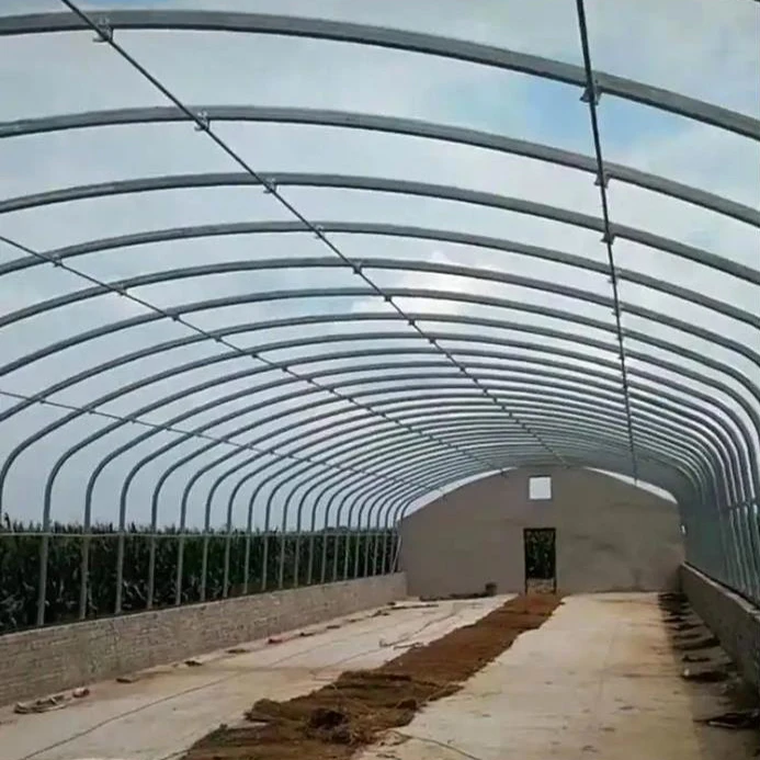 Prefabricated Steel Structure Cowshed Dairy Cow Cattle Farm Shed Barns House Design