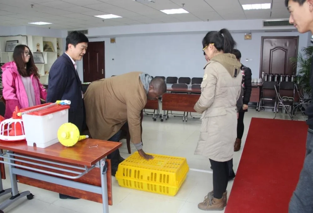 Пластиковый ящик для птицы, большой ящик для перевозки птицы