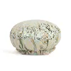 Manchas de leopardo verde frijol