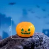 Small Orange Pumpkin