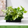 A40-1 35*25 cm flower boxes.