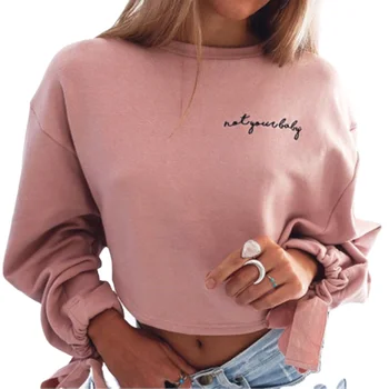 pink sweatshirt picture