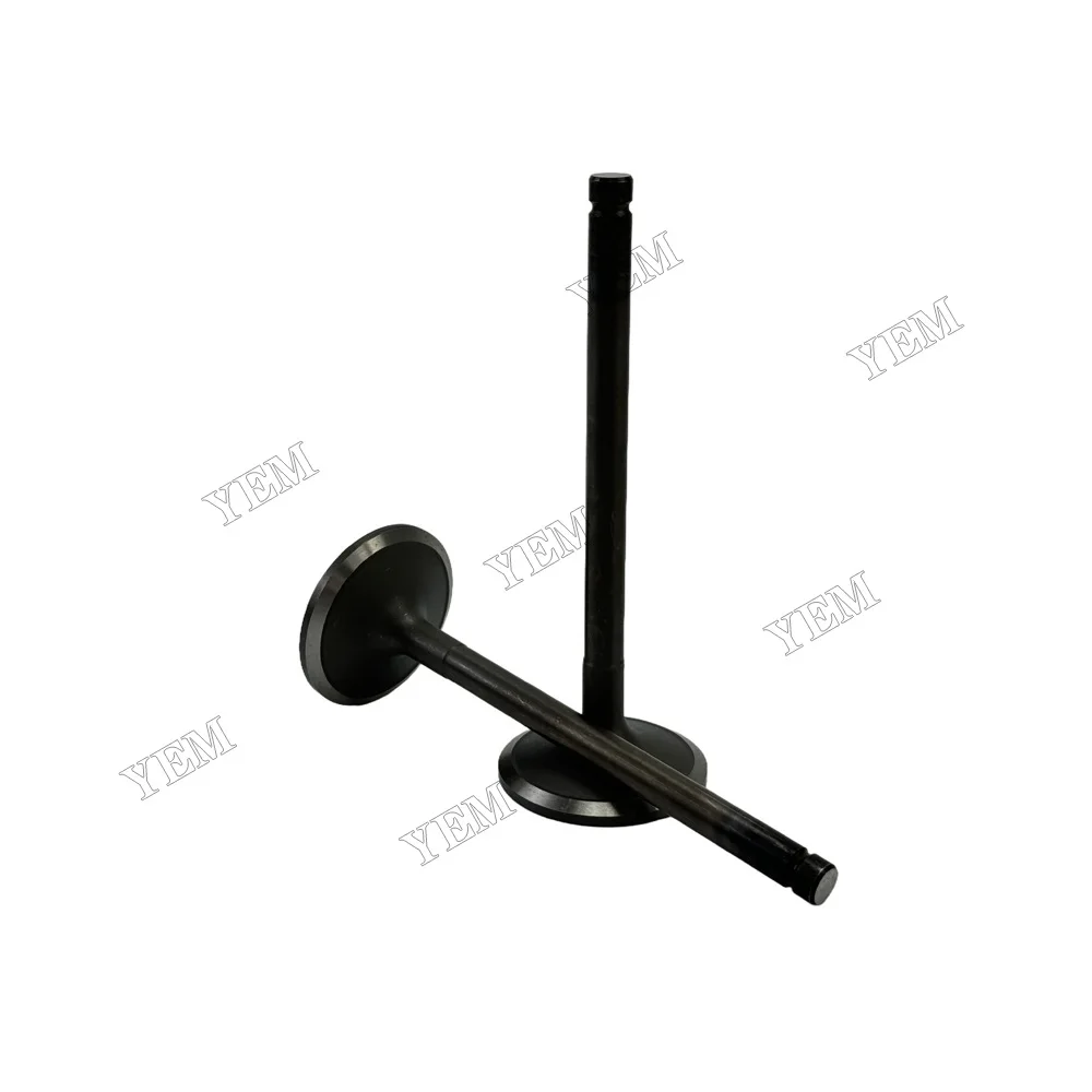 Intake Valve Fit for Hino H07C Engine 4