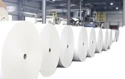 Распродажа с фабрики Биоразлагаемые pla изолированные бумажные стаканчики стены сырья рулон в наличии