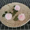 Chrysanthème à trois têtes rose
