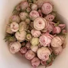 Rosa de varios cabezales Fairy Kiss-10 palos