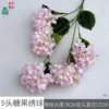 Hortensia Candy HN de 5 cabezas, rosa claro, sin hojas