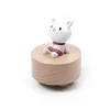 Yellow-Little rabbit teacher