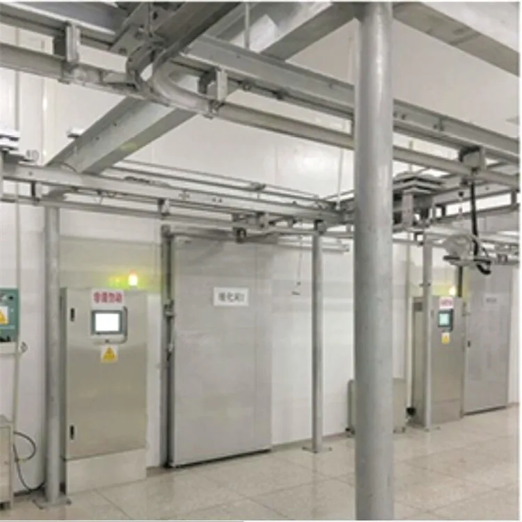 Thawing and defrosting machines for frozen meat
