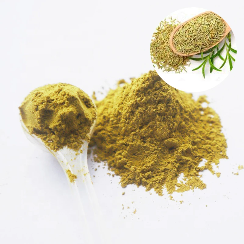 Rosemary Extract Powder – 40% Rosmarinic Acid (25g) – Aussie HERBALIST SELLER