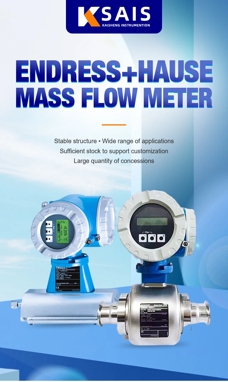 E+h Endress+hauser Highly Accurate Gas China Professional Quality Mass