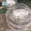 transparent