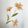 3 lily-Brown