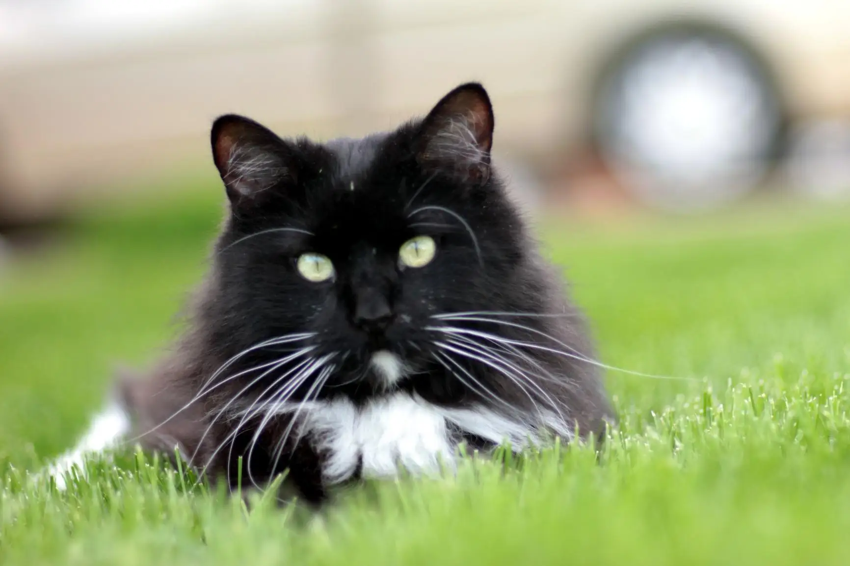 85MM LENS (7)