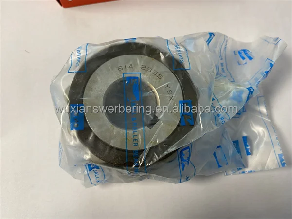 614 7187 YSX Eccentric Roller Bearing, 25x68.5x42mm, P6 Precision