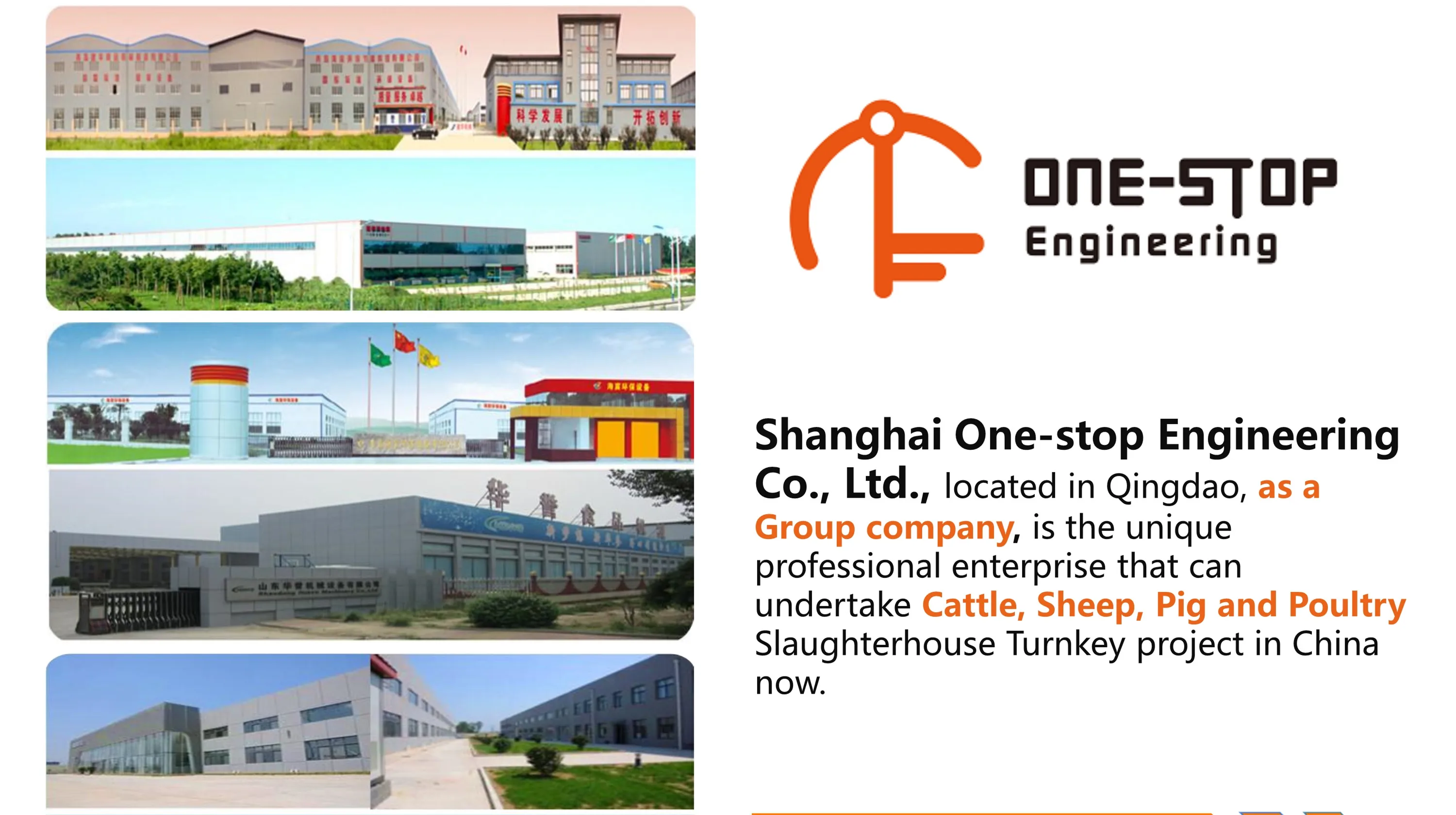 Livestock Slaughtering Equipment Hydraulic Halal Cattle Killing Camel Box Slaughtering Machine