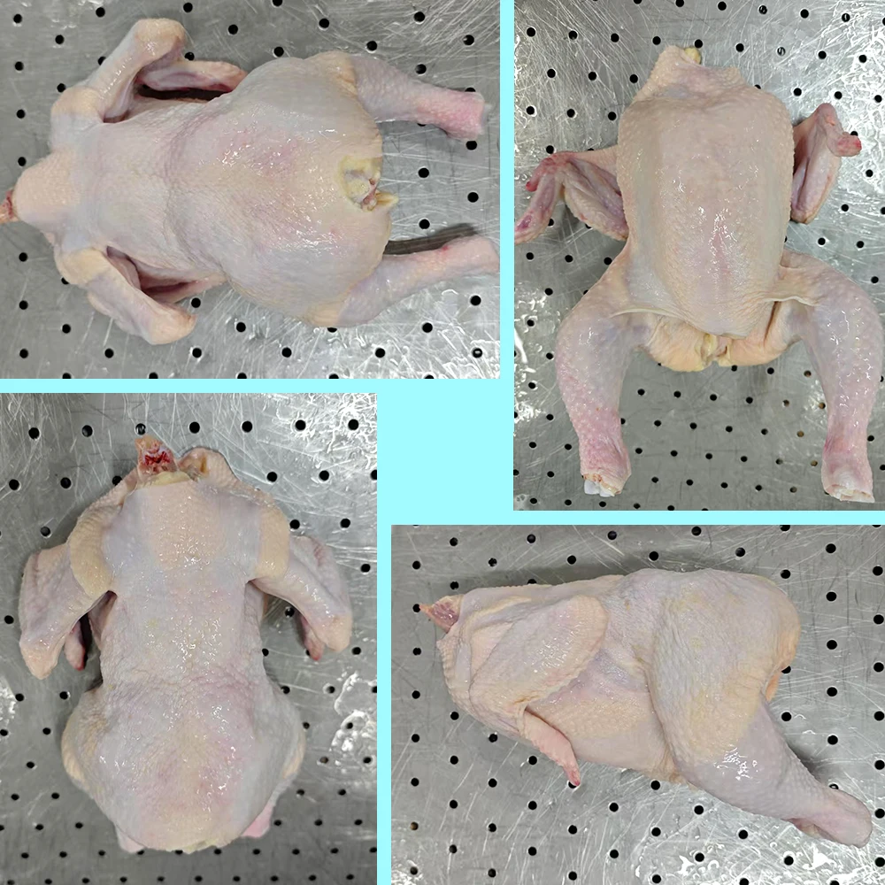 دجاج كامل مجمد - نظيف بدون بقايا أعضاء داخلية للبيع بسعر رخيص من مورد مصنع في الصين