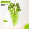 24 verde