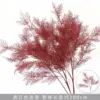 Burgundy Hexagonal Mist Flower Branch