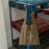 Kaki