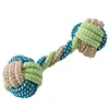 Three-color dumbbell blue and green