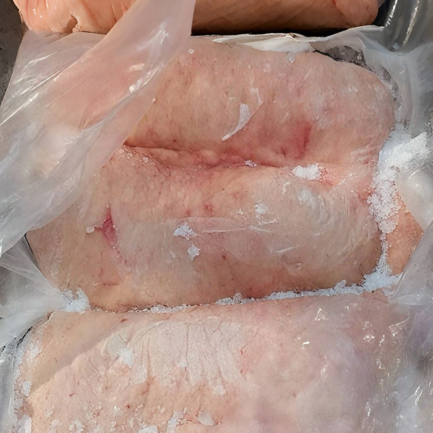 Žádaný prodej vepřového ocasního tuku zmrazený halal vepřový ocasní tuk prodej vepřového ocasního tuku