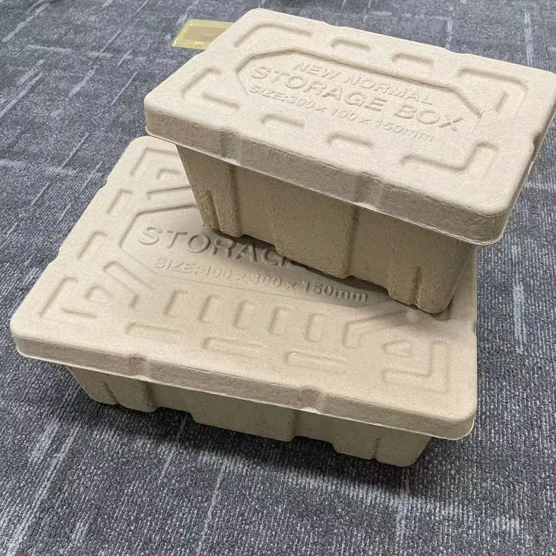 Custom Paper Pulp Packaging Container Box Molded Pulp Box with Lid of Recycled Paper Material