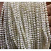 Perles de coquillages blancs naturels