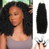 Kinky Curl