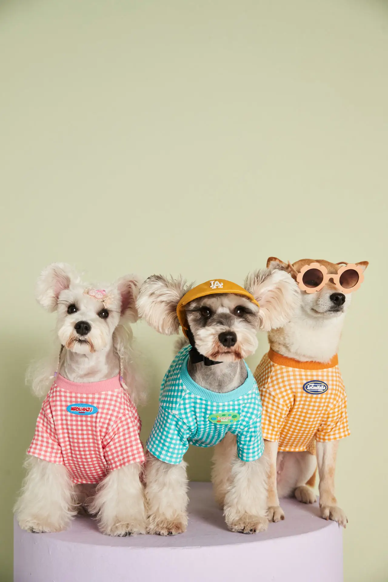 pet clothing wholesale supplier