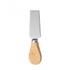 Coltello quadrato per formaggio-argento