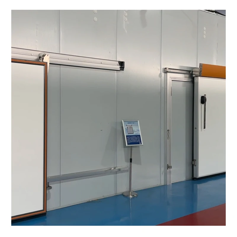 Insulated Walk-in Cold Cooler, AC 110 V, Metal - detail 2
