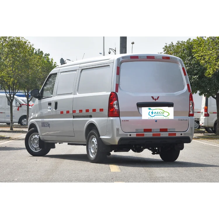 New Design Ct-nev Wuling Ev 50 Pure Electric Mini Van Cargo Trucks New Energy Vehicles Electric Minivan From China