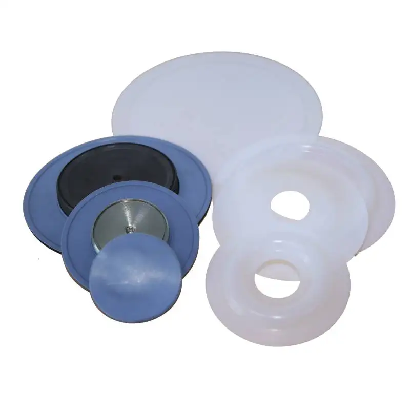 Manual Control Metering Pump Spare Parts Accessory Dosing Pump's Suction Discharge Valve/Foot Valve/Diaphragm/Copper Coils