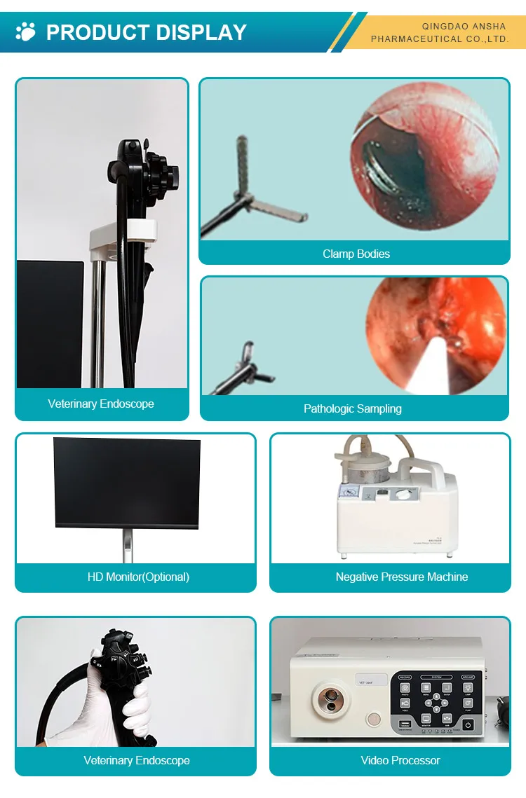 Better Price Ent System Use Portable Flexible Veterinary Gastroscope Vet Endoscopy For Animal