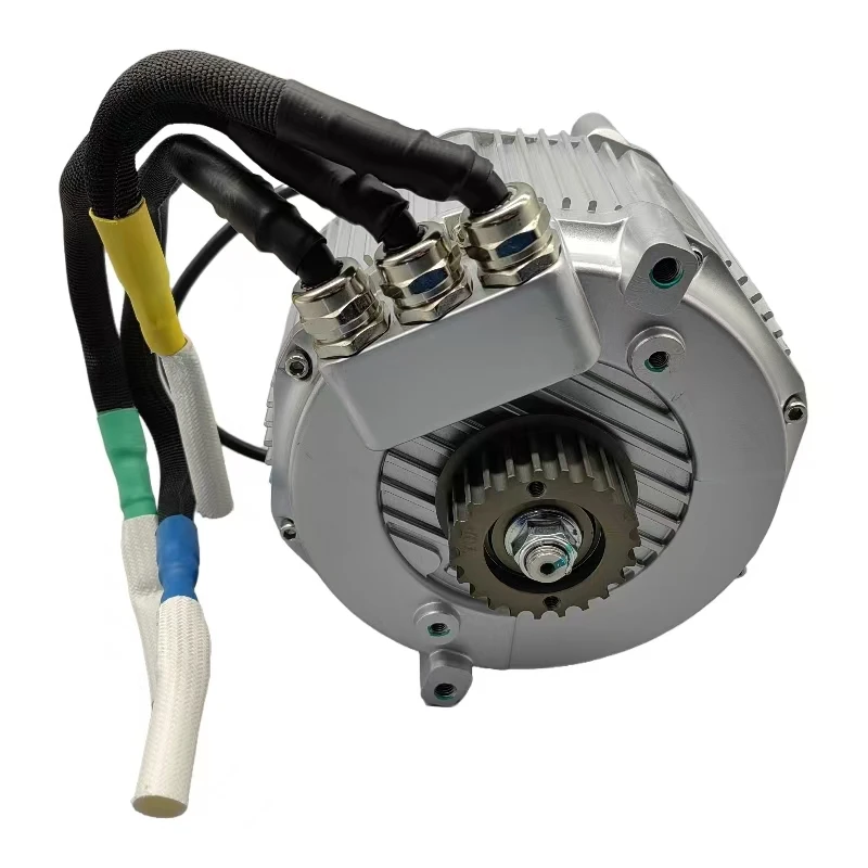 SurRon Ultra Bee Sotion Motor FW01 Pro - Sur-Ron Outdoors