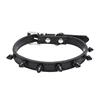 Black rivet black