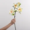 Magnolia West Lake - Giallo Latte Chiaro - 60 cm