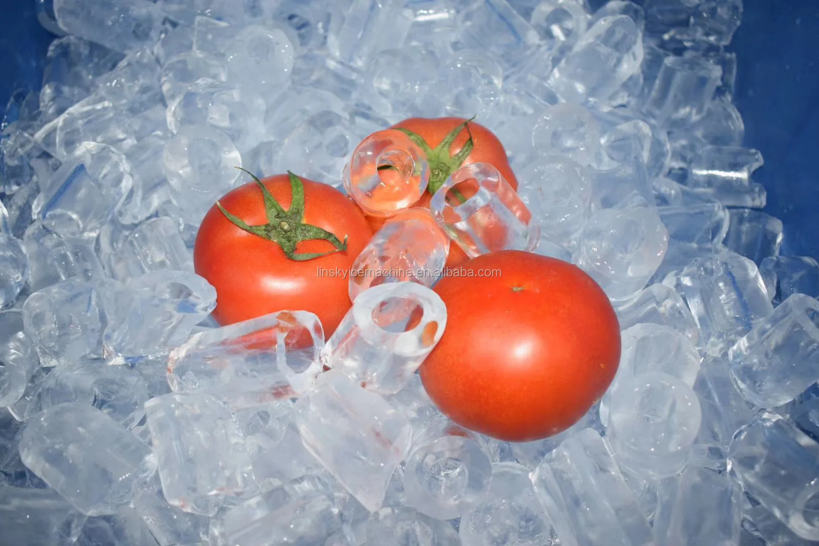 Mini Ice Tube Machine Ice Machine 1000 kg Machines for Making Ice 1 Ton